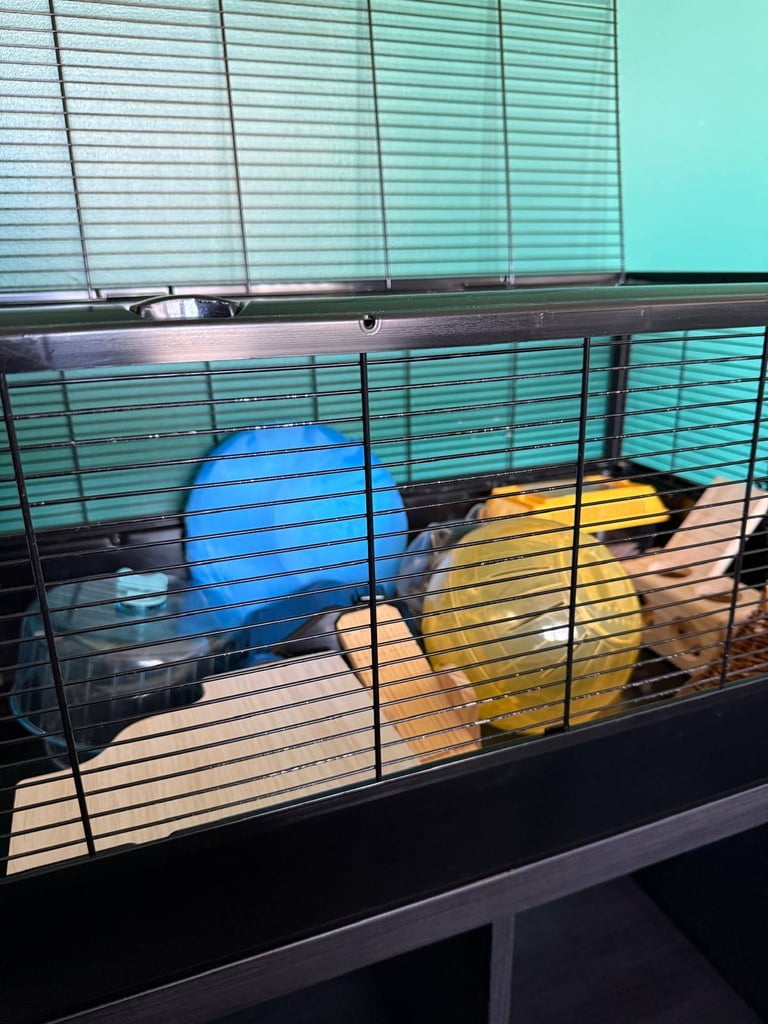 Large and Small Hamster Cage - Set of 2