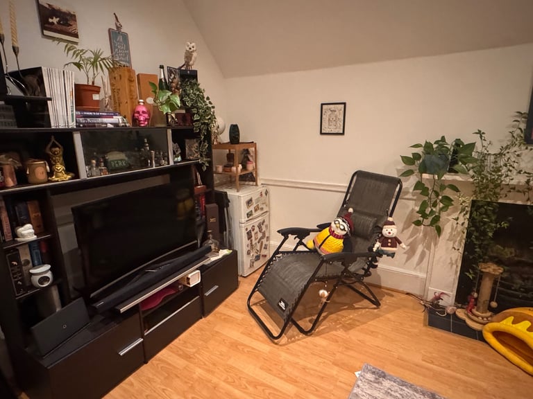 Spacious Single Room with Extra Wardrobe Space – All Bills Included – Streatham Hill