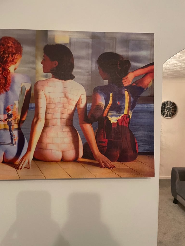 Printed Pink Floyd Canvass