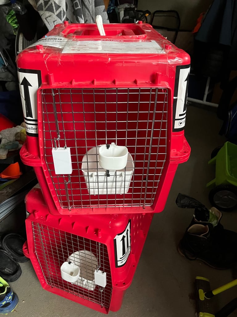 Airline Approved Pet Carrier (Red) Medium 