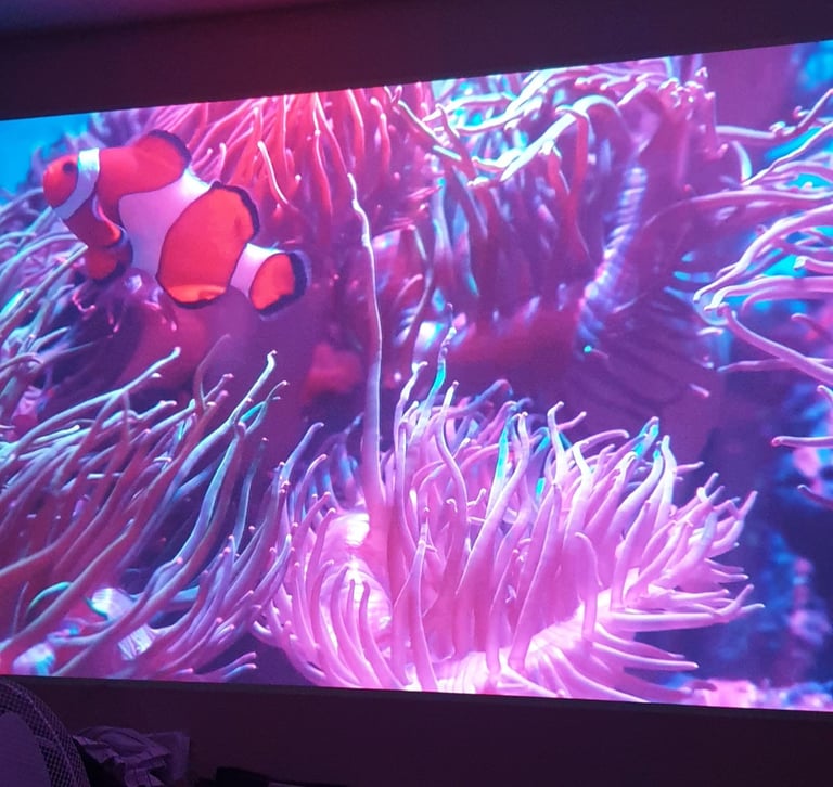 BenQ W1050 3D Ready DLP Projector 1080p full HD hdmi new lamp LONDON h
