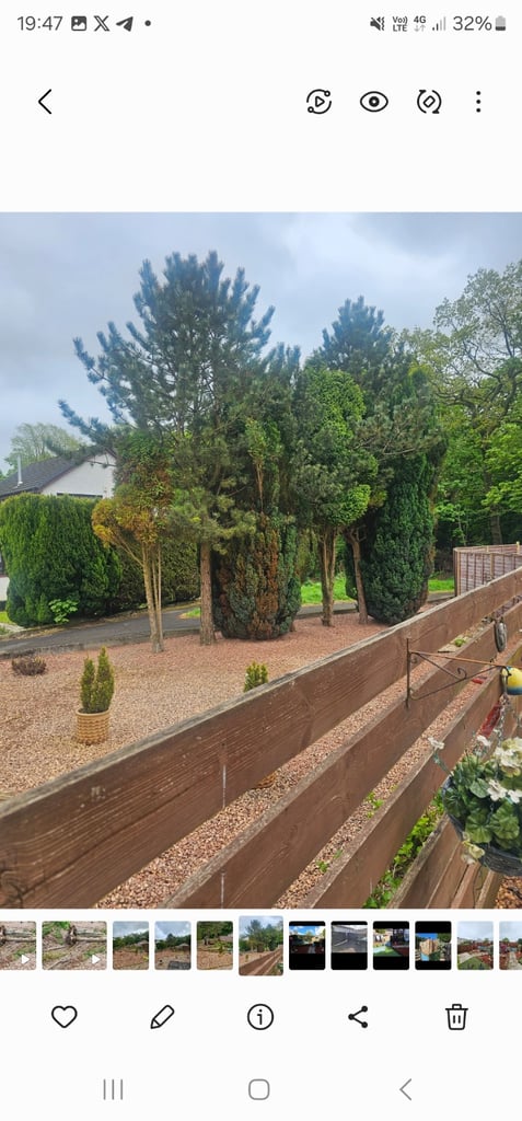 Fencing and decking 