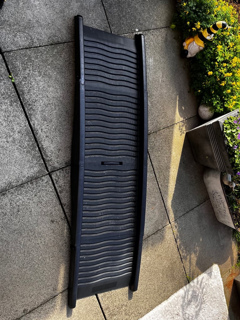 Dog car ramp