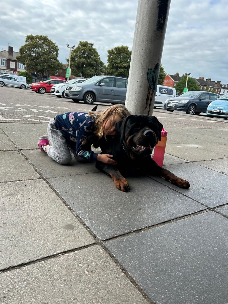 Rusty the Rottweiler 