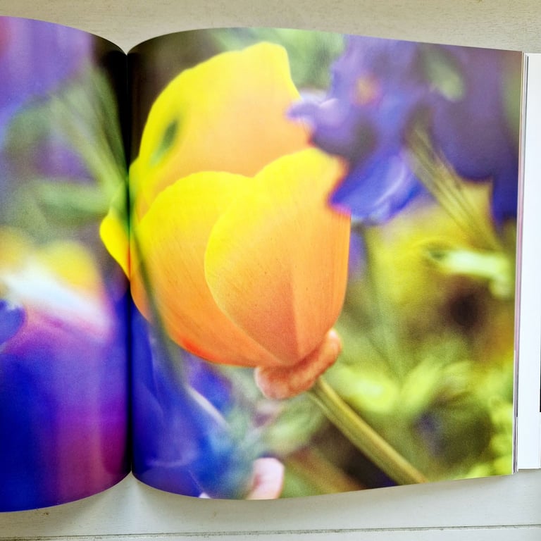 Photographing flowers photography book
