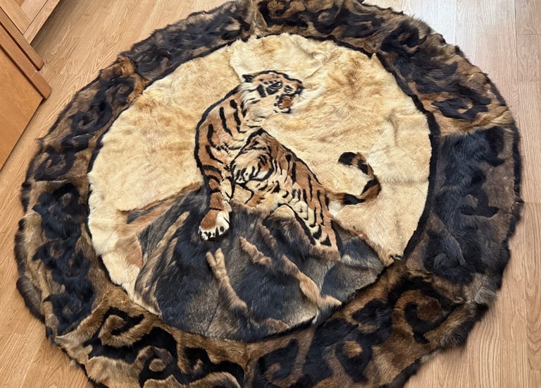 Pre 1950 Taxidermy Wall hanging Indian Tiger Art with Whiskers Antique Vintage Very Rare Quick Sale