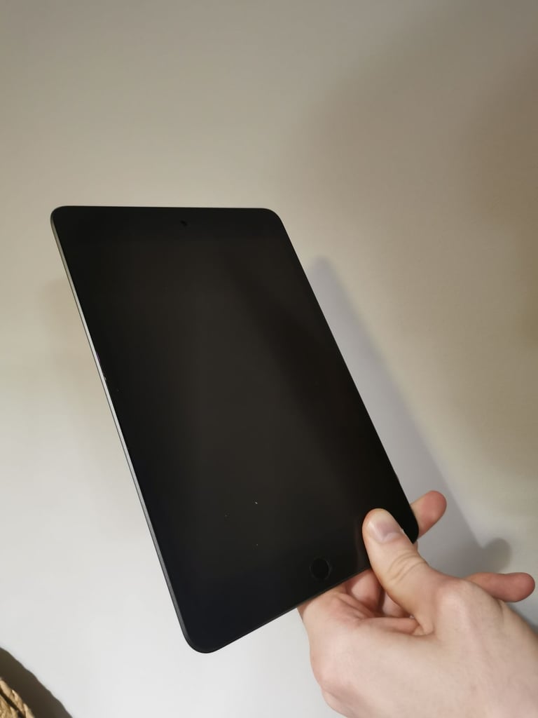 iPad Mini 2019 + Apple Stylus Pencil 
