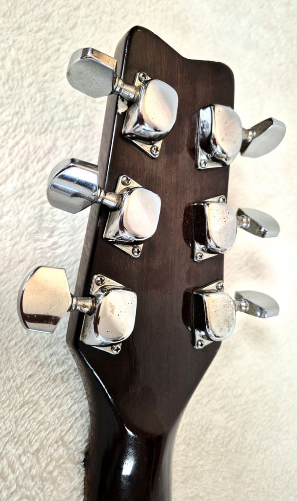Washburn Japan Wing Series Raven 