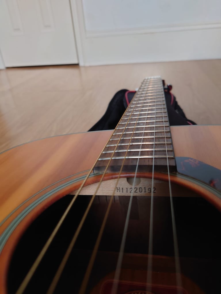 Yamaha FG700MS Solid Top Acoustic guitar with gigbag