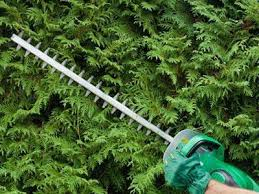 image for BLACK AND DECOR HEDGE TRIMMER
