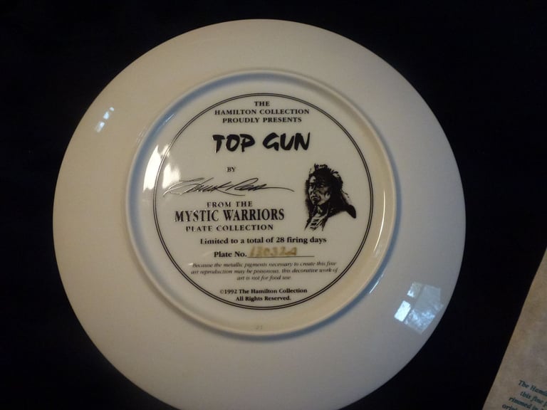 Native American Collectable Top Gun Mystic Warriors Plate.
