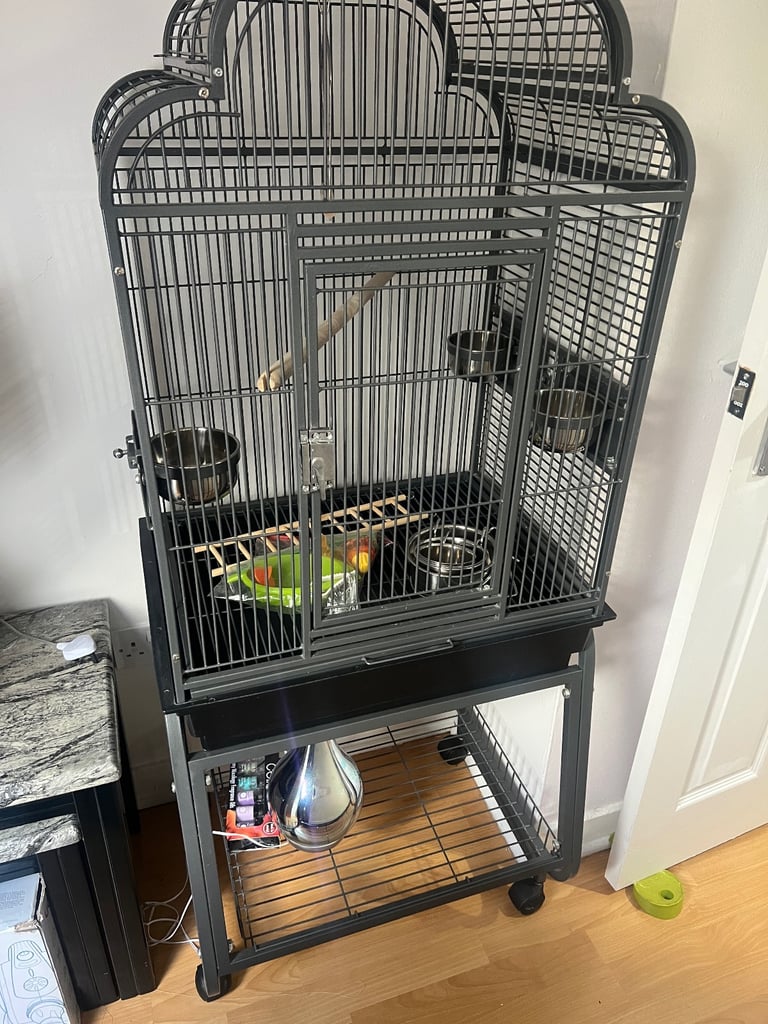 Bird cage and stand 