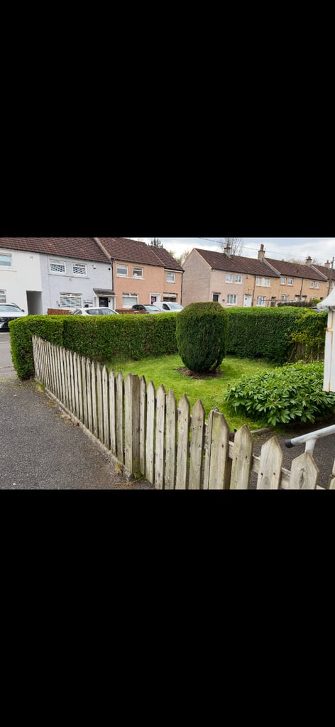Fencing and decking