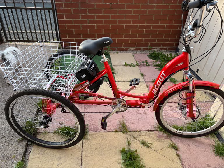 Power assist adult trike