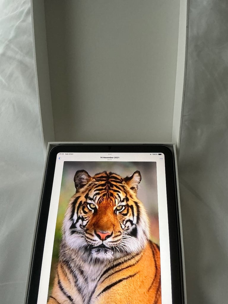 iPad mini (A17 Pro)