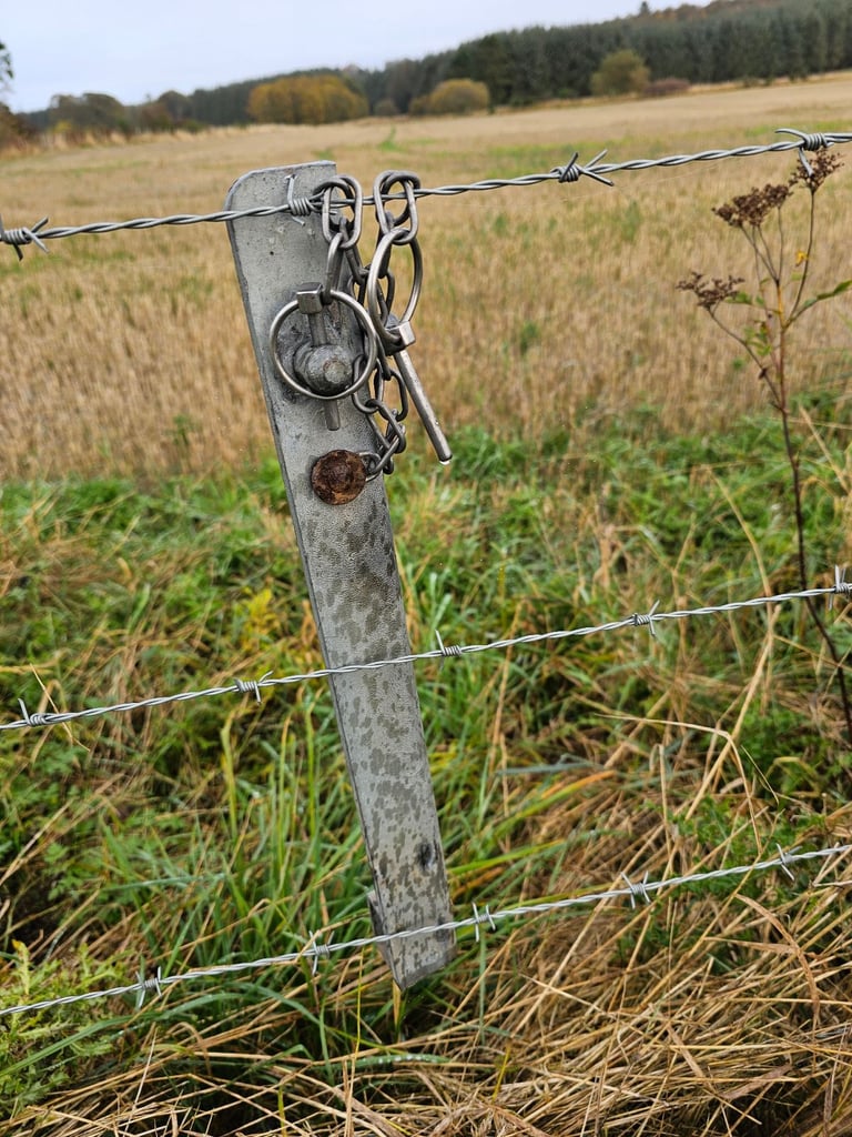 Part of a trailer 