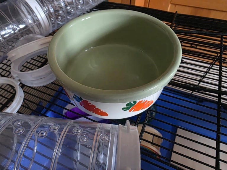 Large hamster cage 39" long x 21" wide x 19 " high