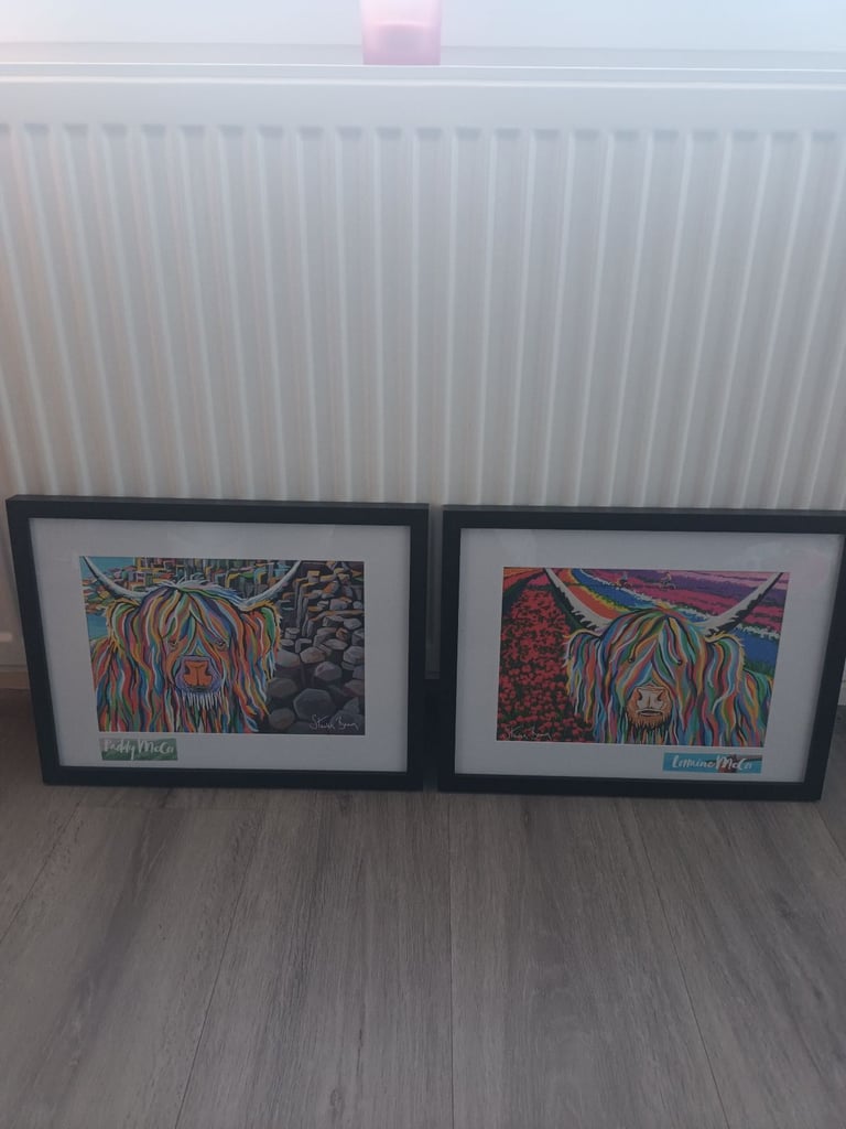 Steven Brown Pictures