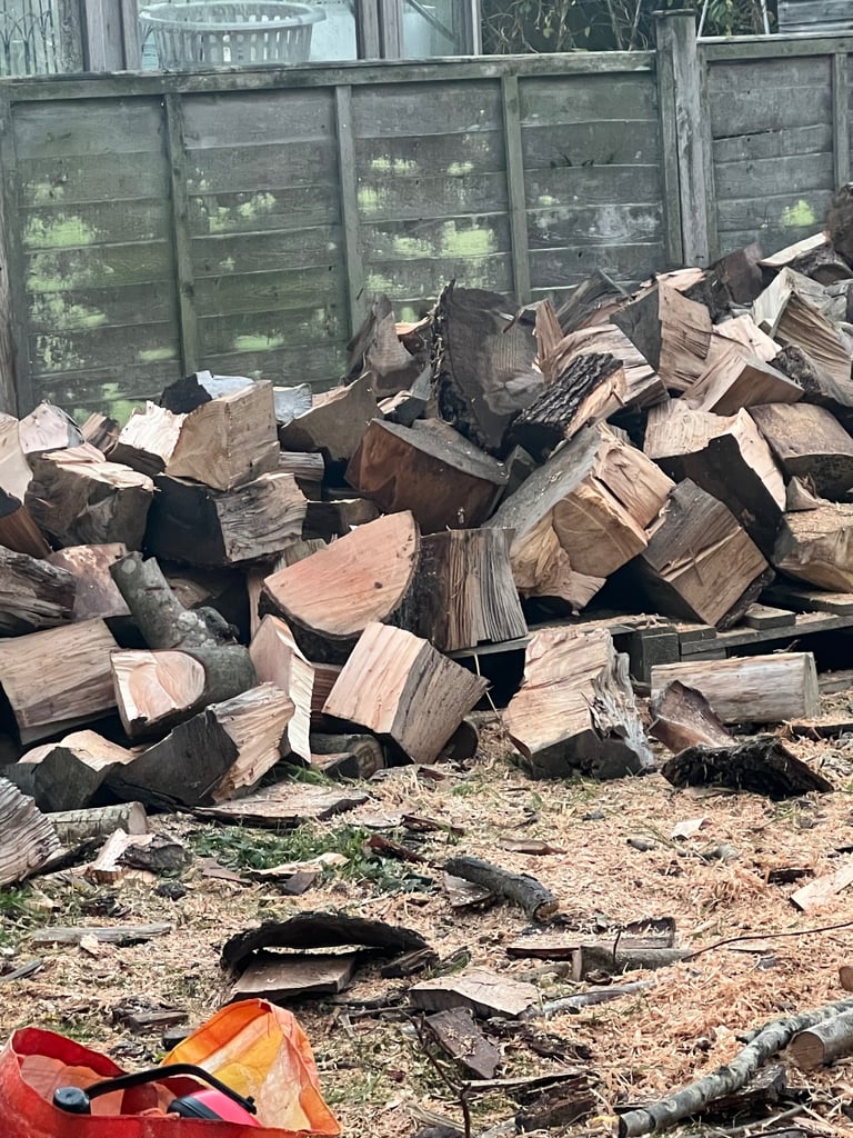 Tree surgeons and hedges cutting and grass 