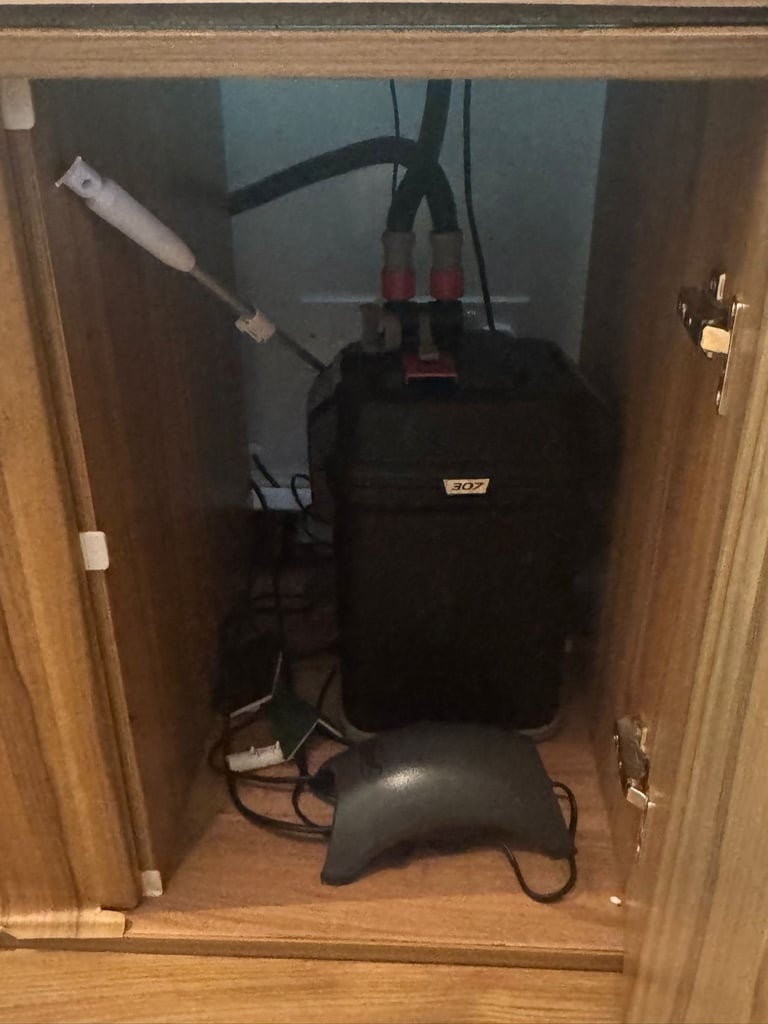 5FT FULLY LOADED FISH TANK FOR SALE (BARGAIN)