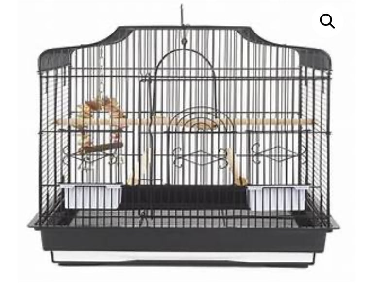 Bird cage 