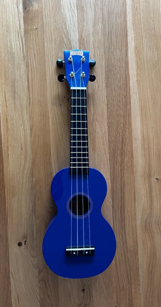 Royal blue full size ukulele 