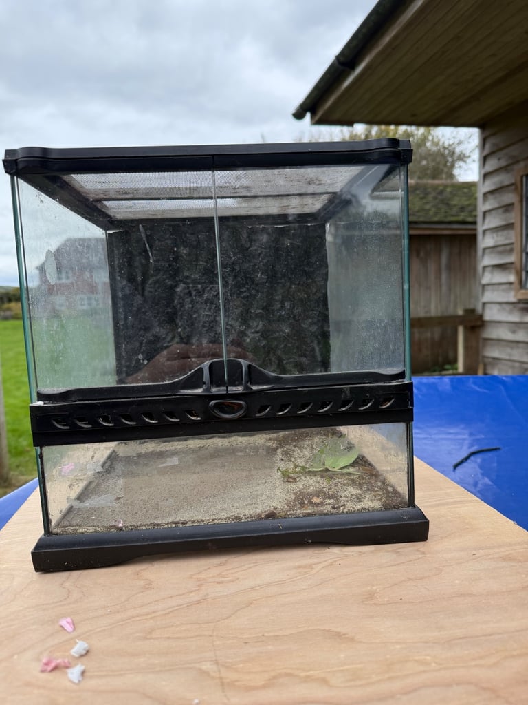 Small Glass Vivarium