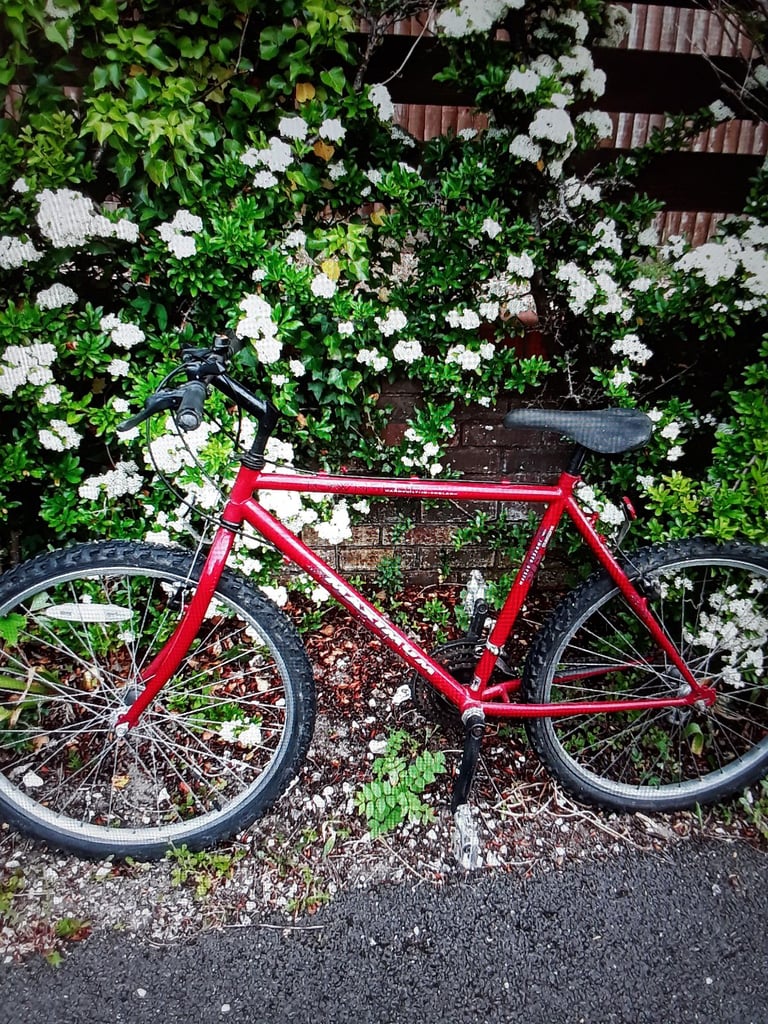 image for Gents bike