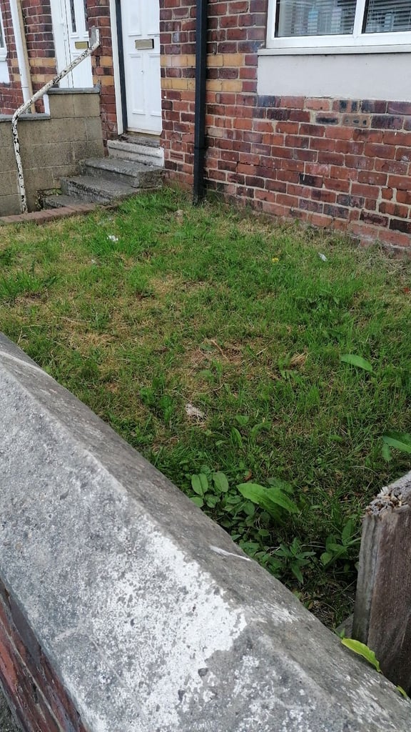 3 Bedroom Semi detached house TO LET