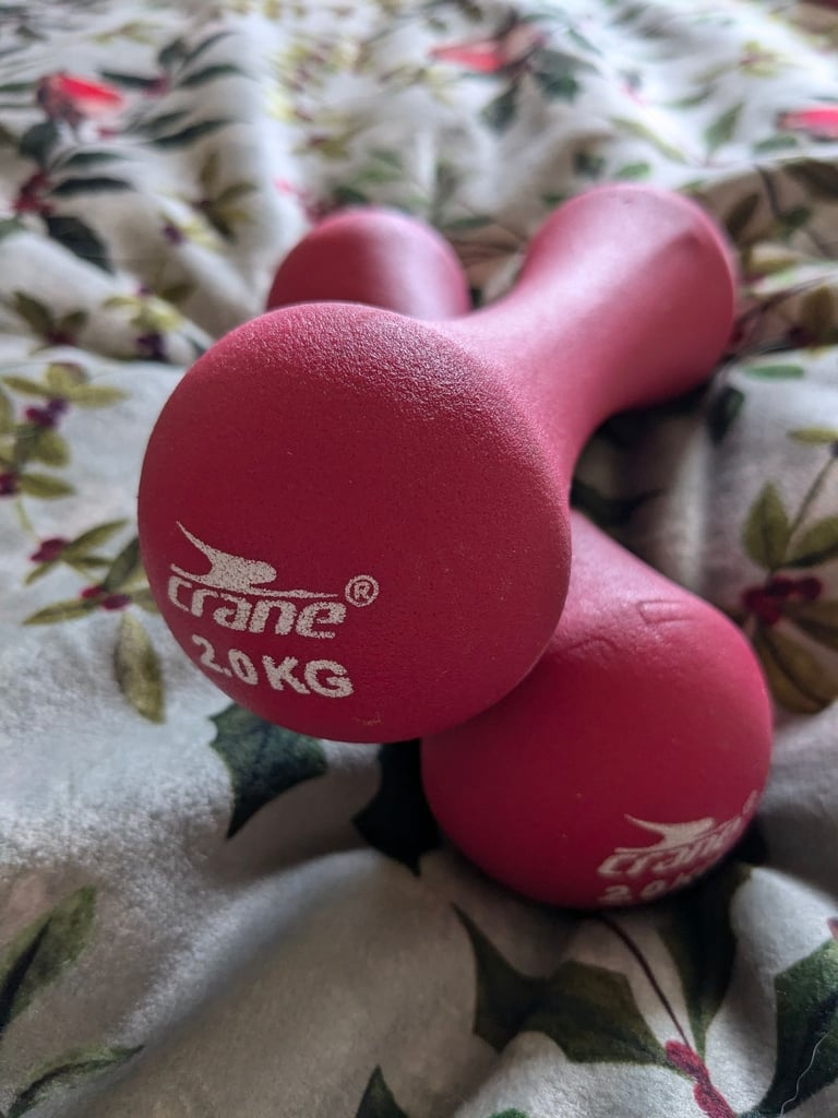 image for 2kg Dumbells