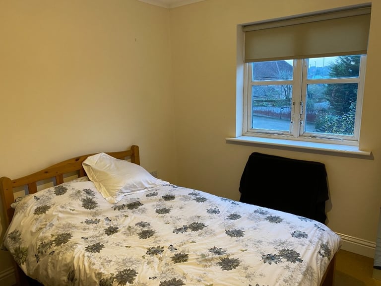 Spacious room available for professional female
