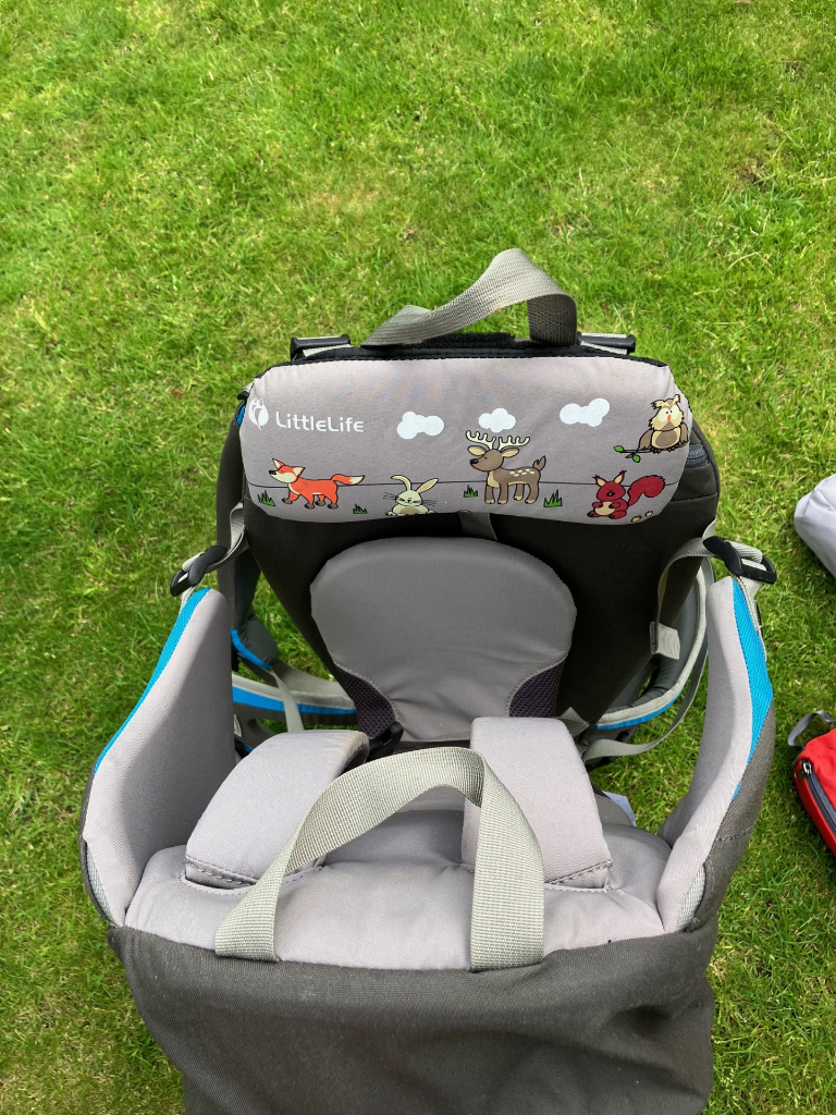 LittleLife S2 child carrier