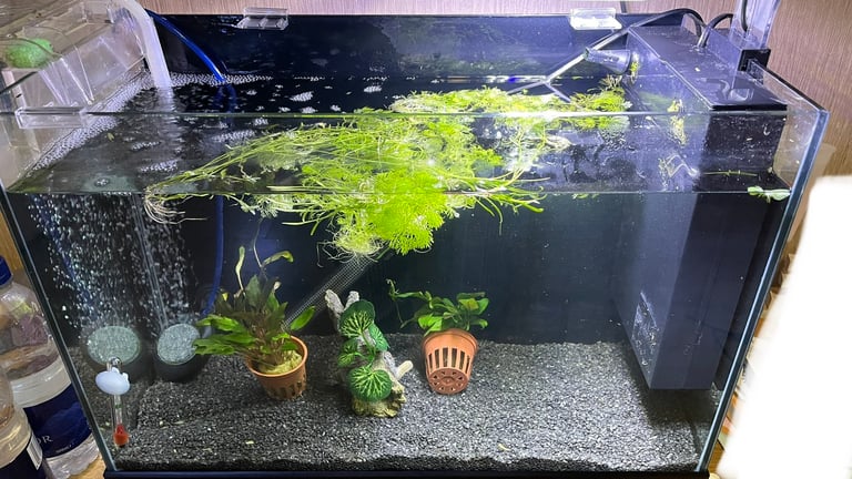36l fish tank