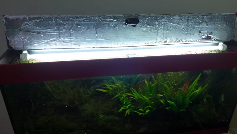 Jewel aquarium 4ft