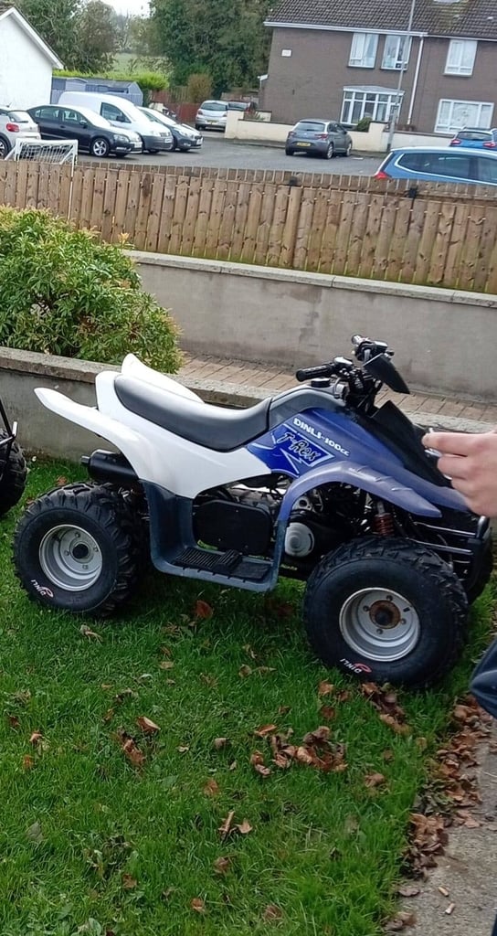 Price drop kids quadzilla quad 100cc 2 stroke