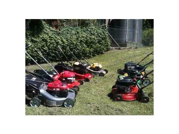 🌻WANTED Lawnmowers/Strimmers/petrol machines spares/working WANTED🌻