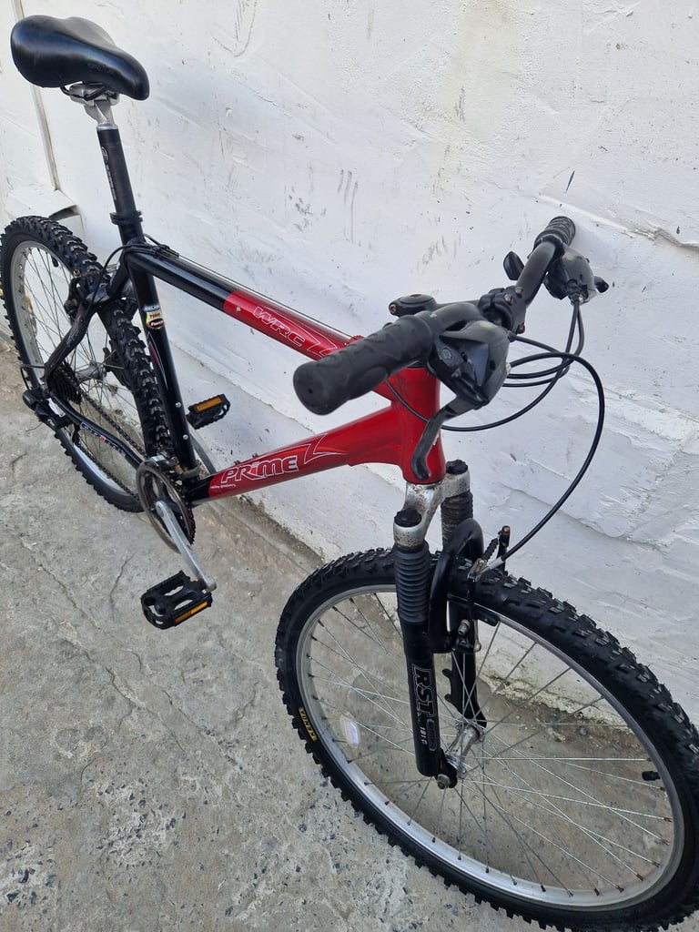 Adults bike 