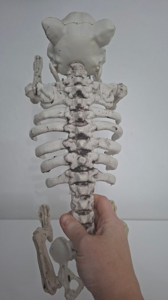 image for Various Halloween  decorations 