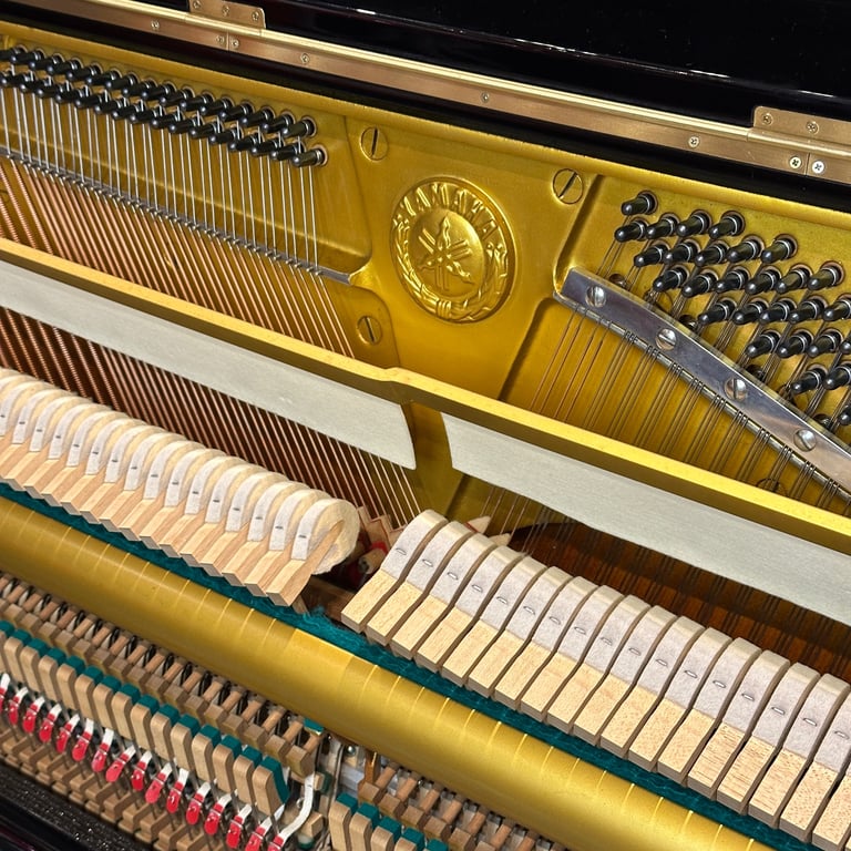 REDUCTION: Yamaha U1 Upright Piano Black | Delivery, Warranty, Stool, Tuning