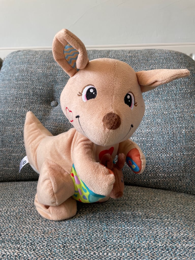 Vtech Hop-a-roo Kangaroo