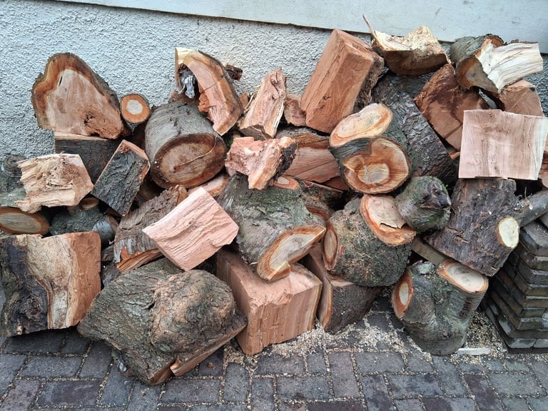 Woodburning logs 