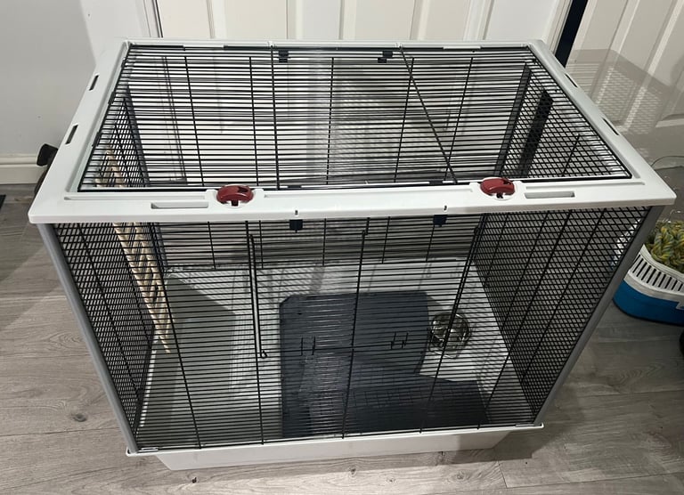Rat Cage with accessories 