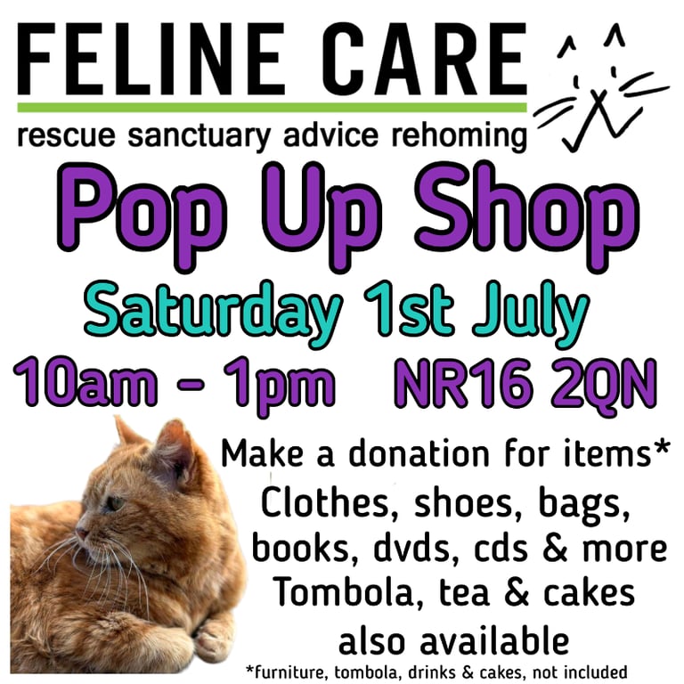 Feline Care July Pop Up Shop 