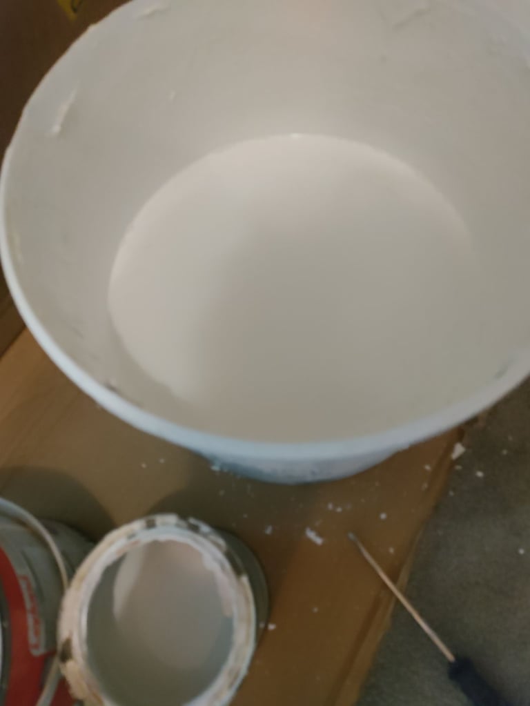 Having a clear out of leftover paint Gloss and Matt Brilliant White