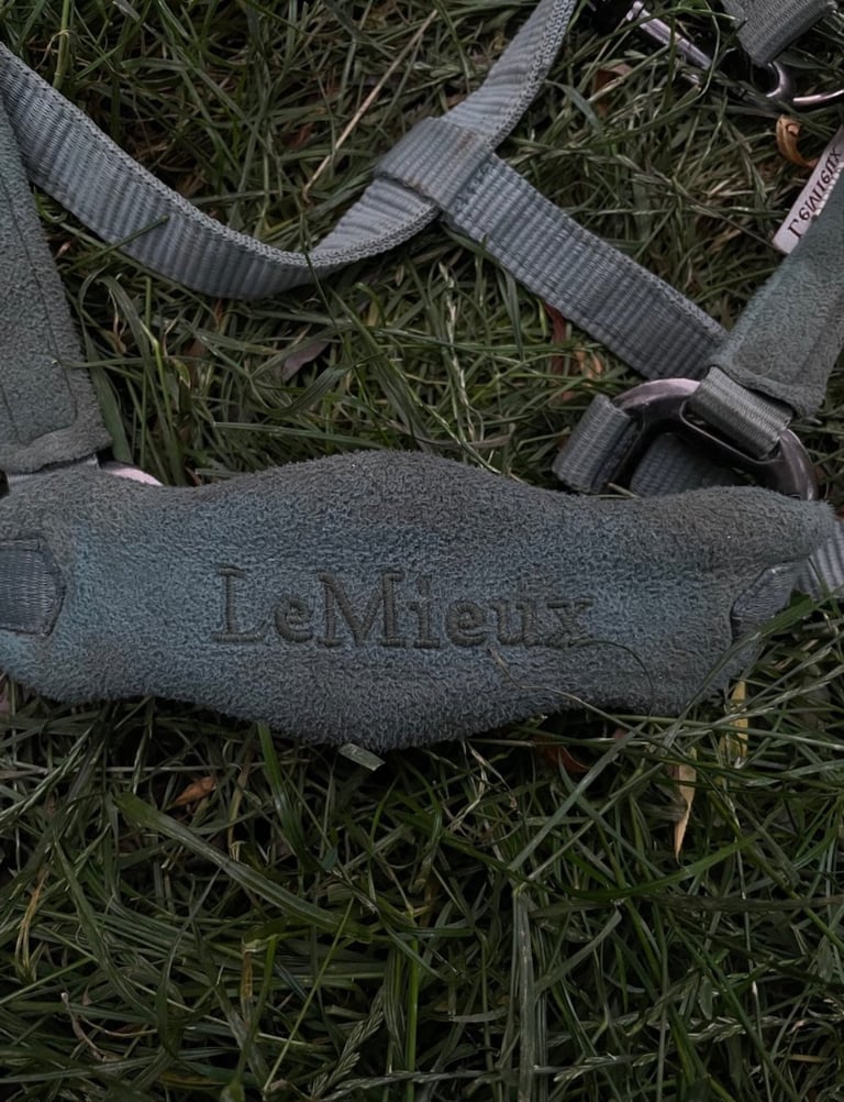 LeMieux HORSE HEAD COLLAR 