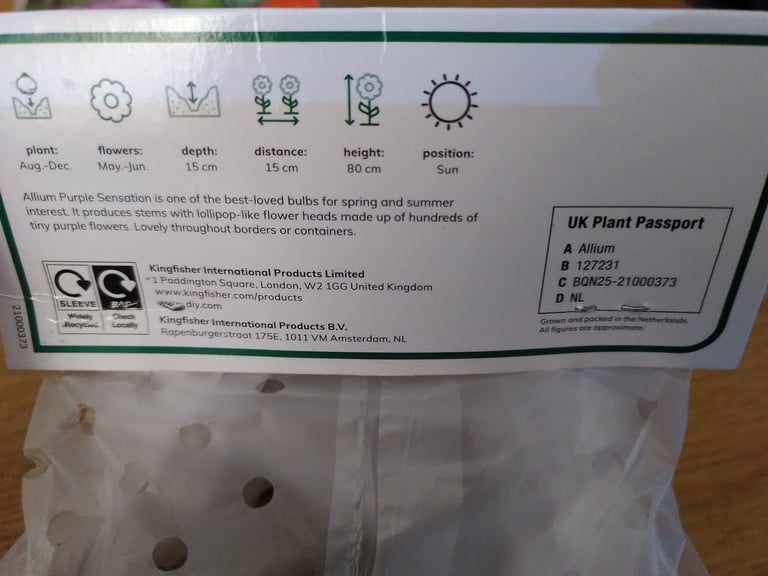 Daffodil, Crocus, & Allium bulbs 