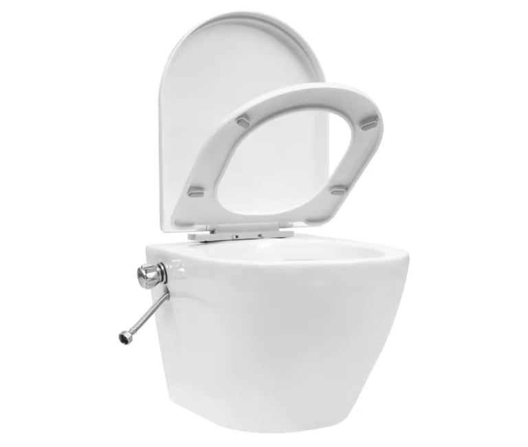 Bidet toilet