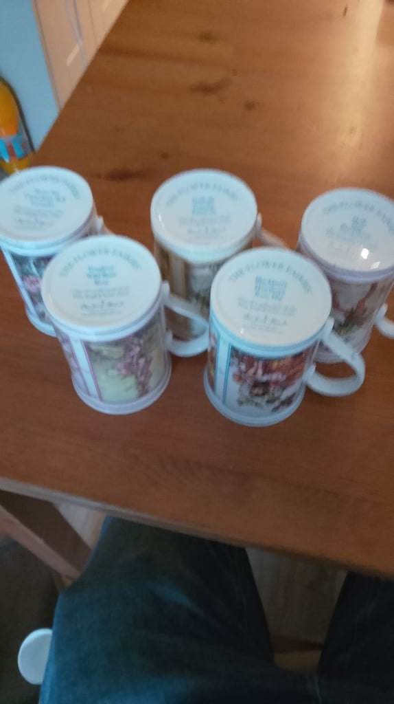 image for X5 flower fairies cups