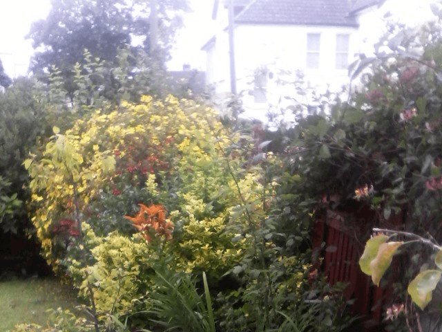 Urgent : Swap Council Flats - Our Garden flat swap for Your New Build Council Flat 