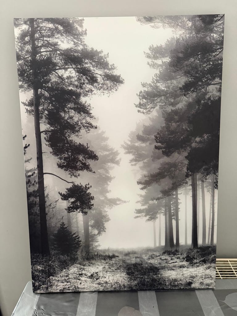 image for Canvas Forest Print